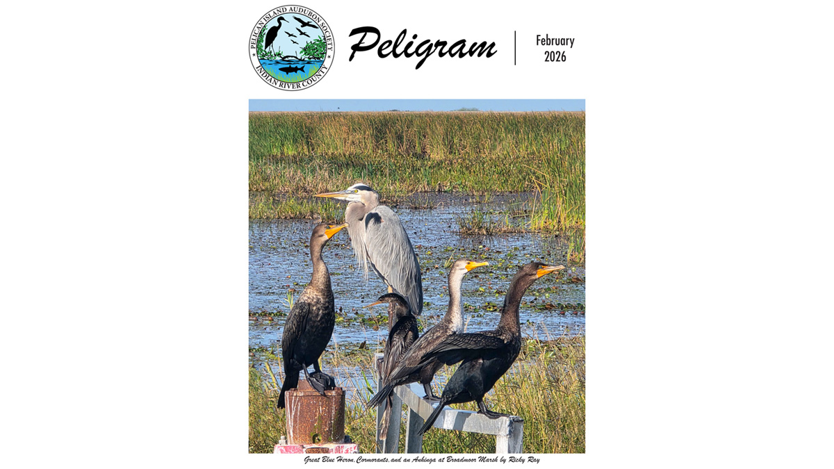 February 2026 Peligram